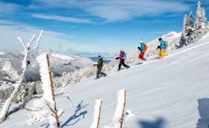 Raquettes hivernales en liberté et détente Vercors - Photo 1