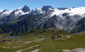 Les Ecrins avec un âne - Photo 3