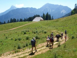 Tour de Chartreuse avec un âne - Photo 2