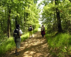 Compostelle à pied et en bus : Le Puy - St Jean Pied de Port - Photo 1