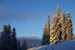WE Réveillon sur les Crêtes du Jura - Photo 2