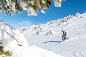 Aventure nordique en Vercors (sportif) - Photo 3