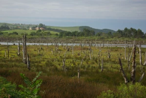 Chemins de Compostelle : Santillana del Mar - Oviedo - Photo 1