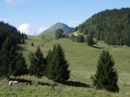 Les Crêtes du Jura - Photo 3