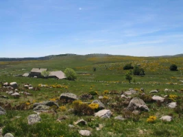 Stevenson : du Puy a Chasserades - Photo 1