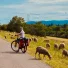 Le Rhône à vélo