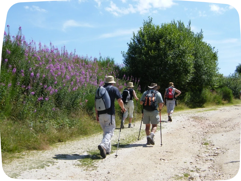 Carte des séjours accompagnés sur le chemin de Saint-Jacques-de-Compostelle