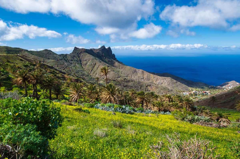 Tour de la Gomera en Liberté - 