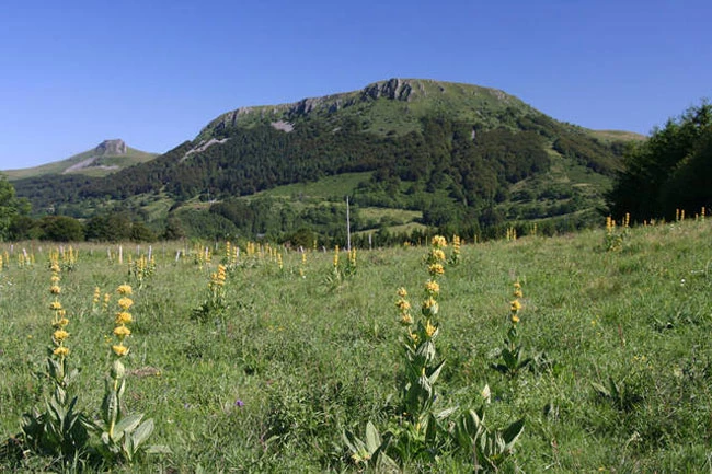Lacs et Volcans d'Auvergne - Massif Central